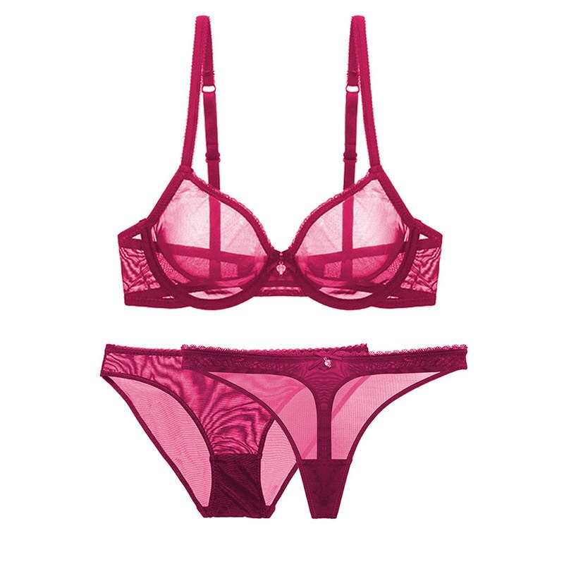 Mesh Lace Bra Briefs and Thong Set