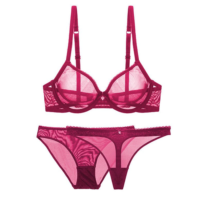 Mesh Lace Bra Briefs and Thong Set