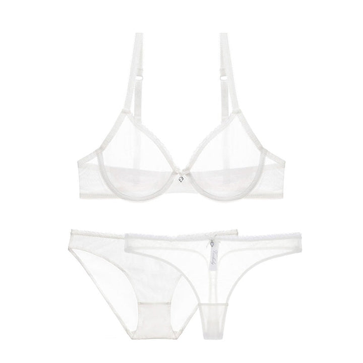 Mesh Lace Bra Briefs and Thong Set