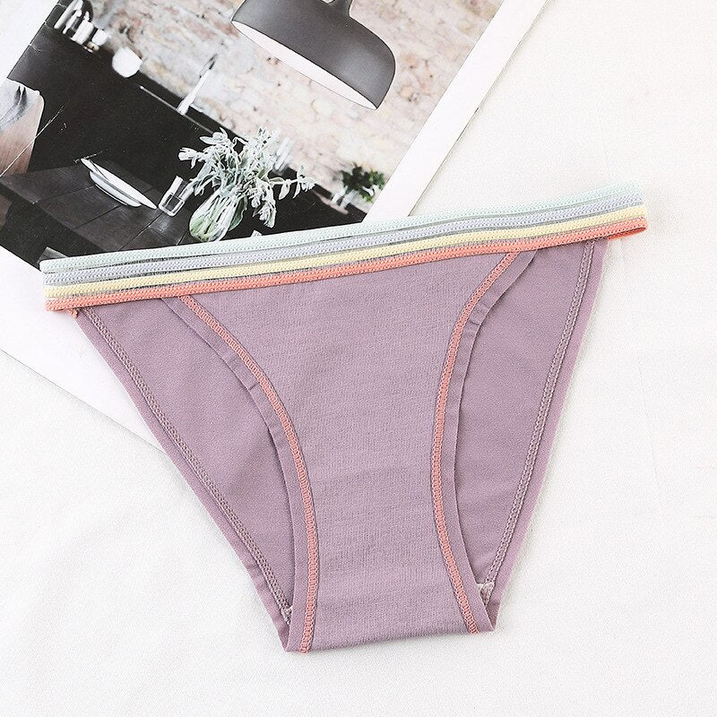 Colourful Waistband Cotton Comfort Brief