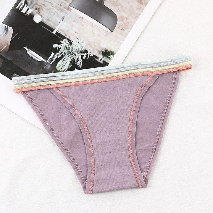Colourful Waistband Cotton Comfort Brief