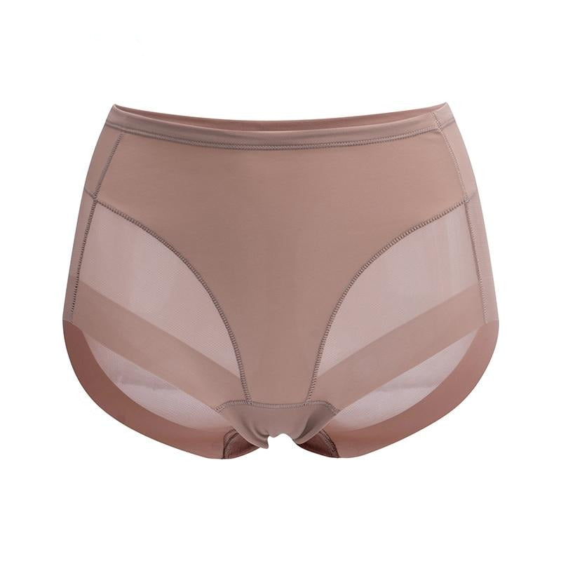 Mesh Shaping High-Waist Briefs