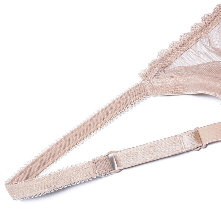 Mesh Lace Bra Briefs and Thong Set