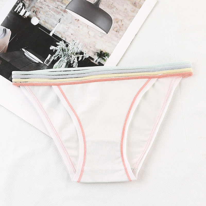 Colourful Waistband Cotton Comfort Brief