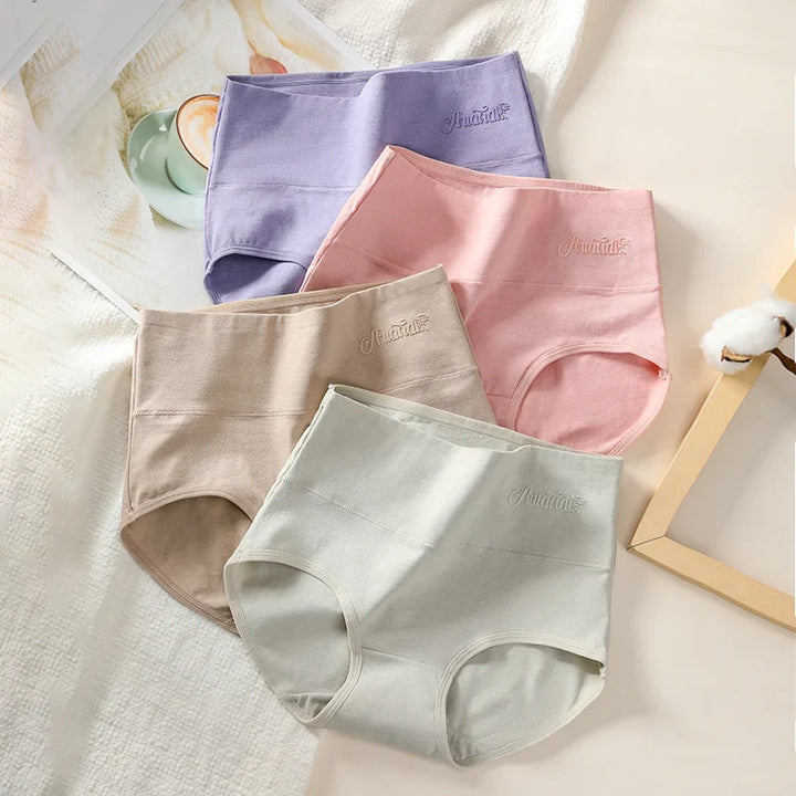 4-Pack High-Waist Plus-Size Briefs Set