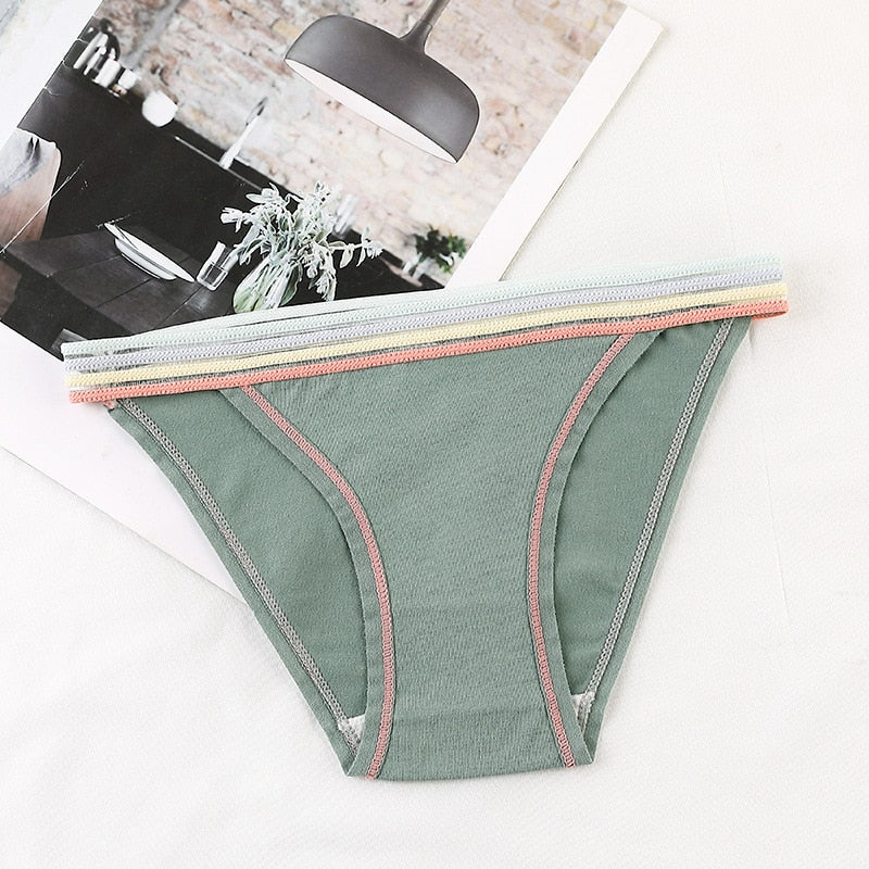 Colourful Waistband Cotton Comfort Brief