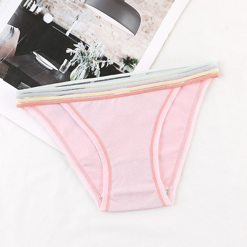 Colourful Waistband Cotton Comfort Brief
