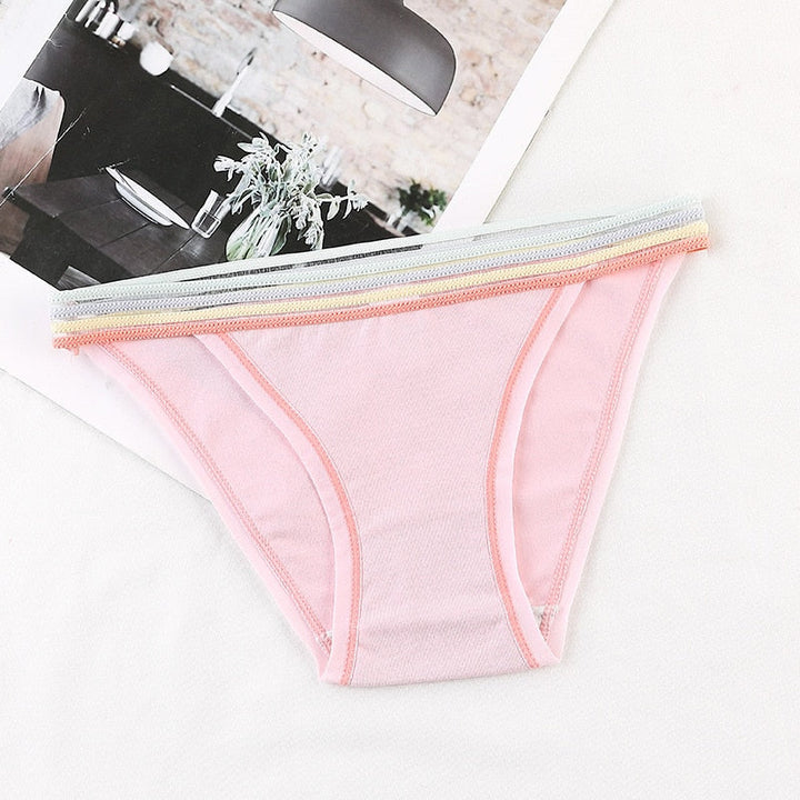 Colourful Waistband Cotton Comfort Brief