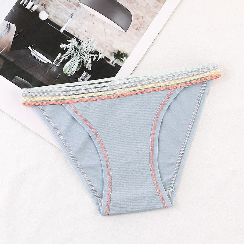 Colourful Waistband Cotton Comfort Brief