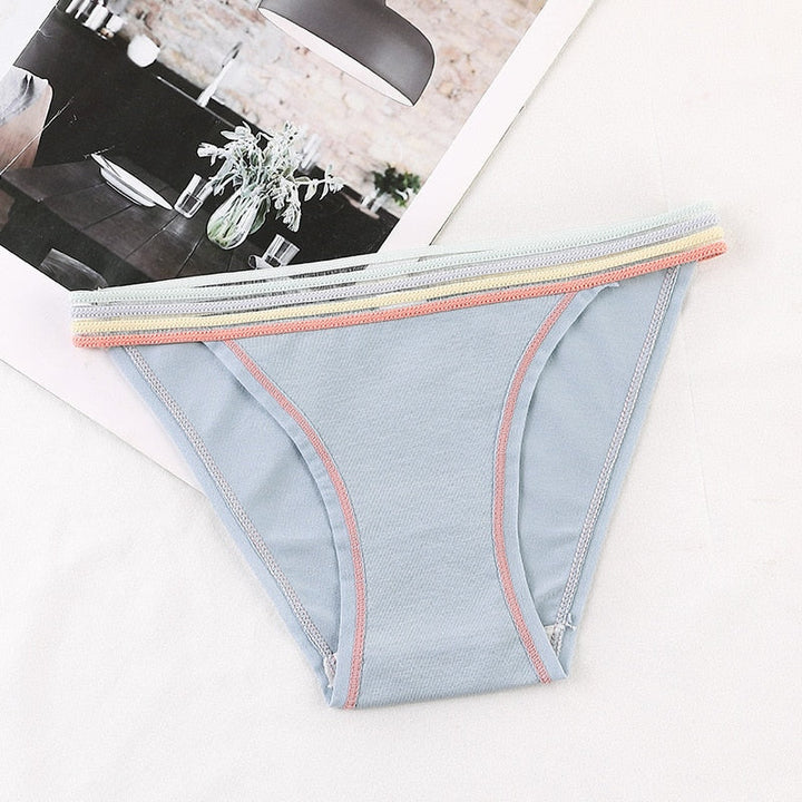 Colourful Waistband Cotton Comfort Brief