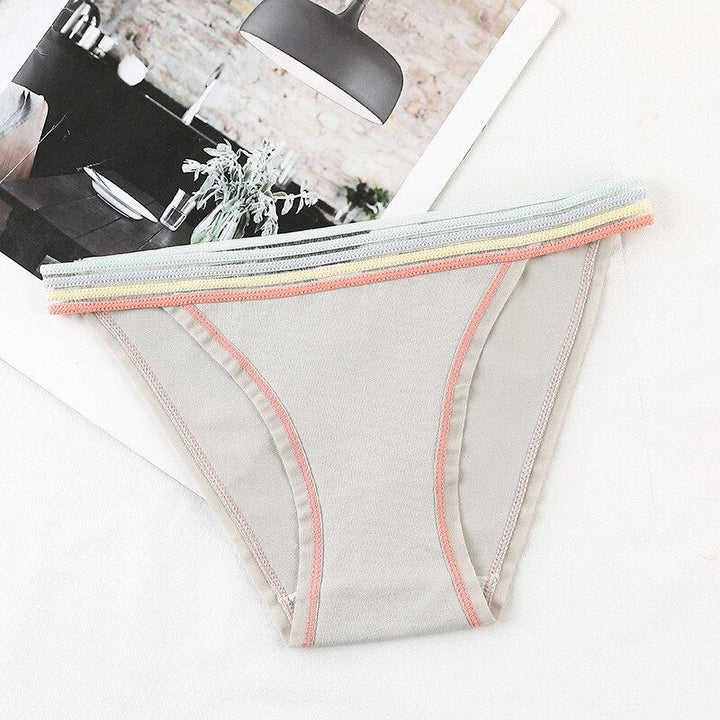 Colourful Waistband Cotton Comfort Brief