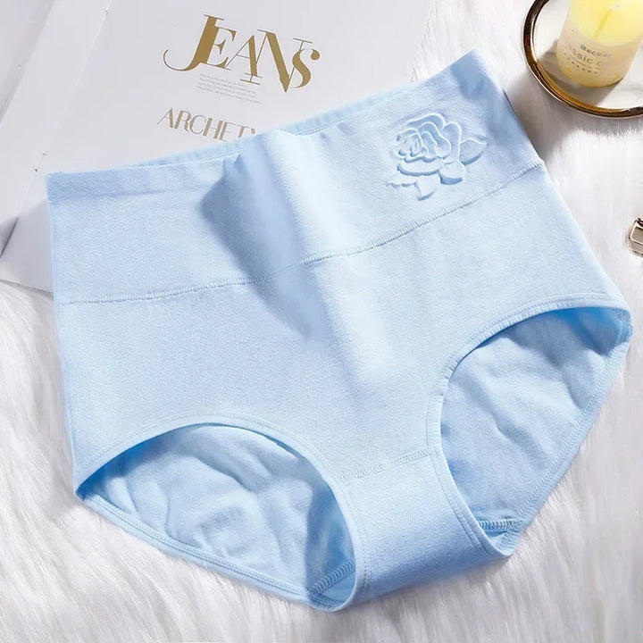 High-Waist Fitted Plus-Size Briefs
