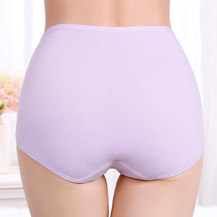High-Waist Fitted Plus-Size Briefs