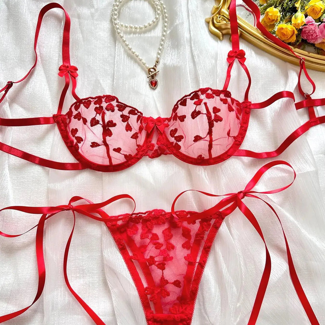 Embroidered Underwire Bra and Thong Lingerie Set