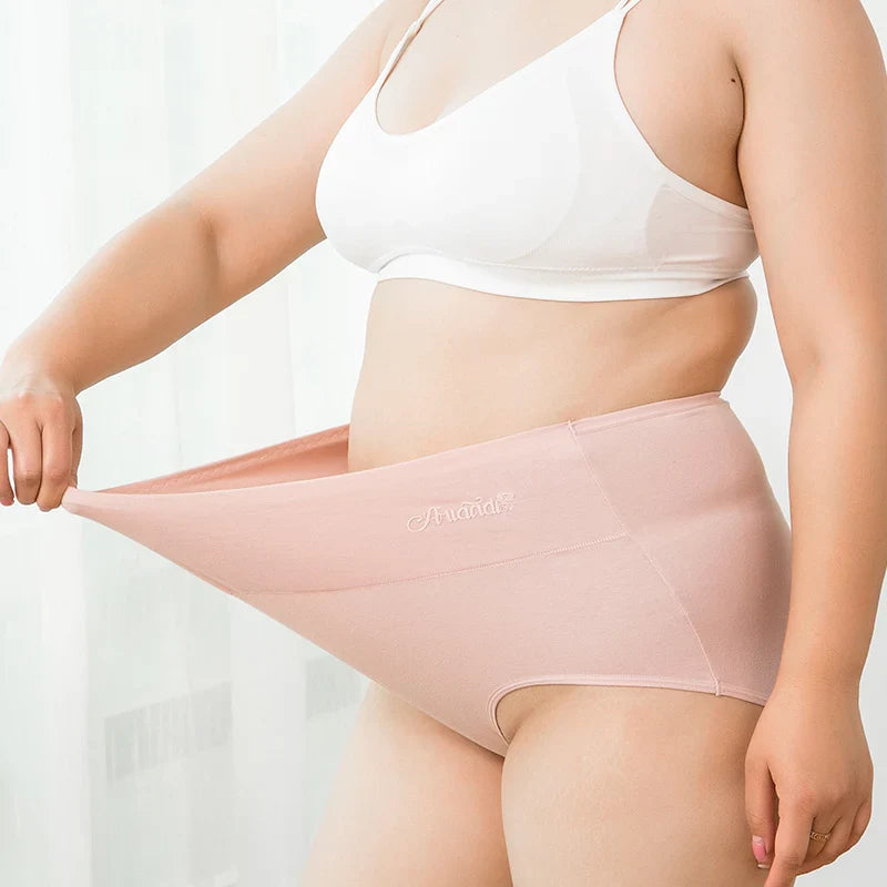 4-Pack High-Waist Plus-Size Briefs Set
