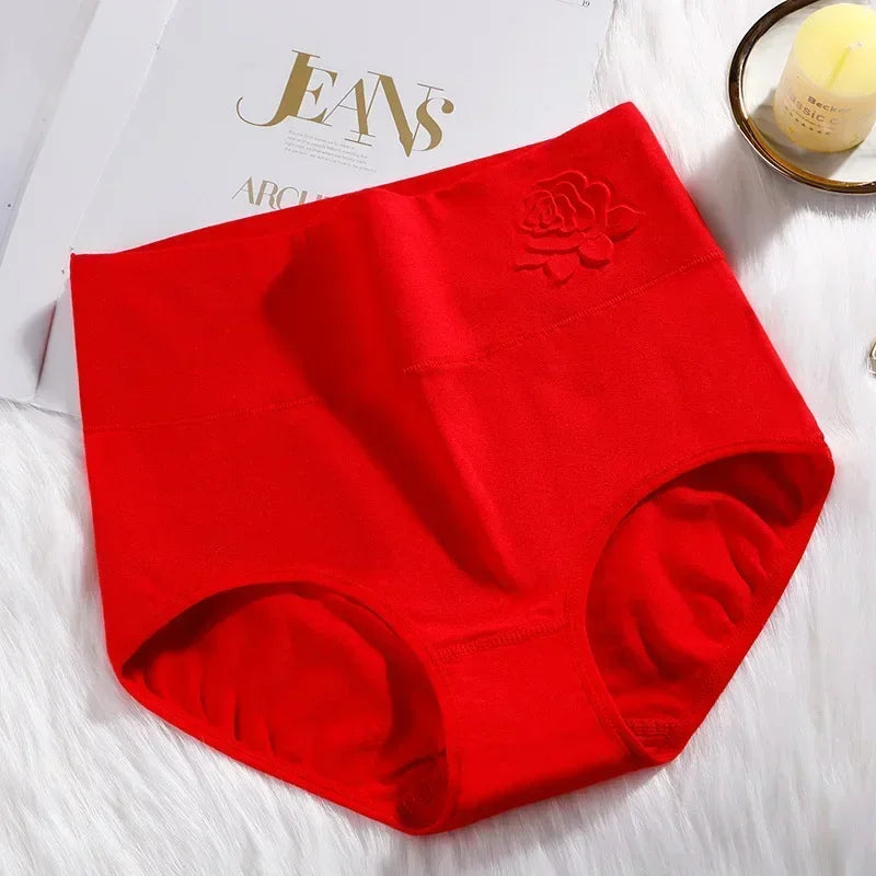 High-Waist Fitted Plus-Size Briefs