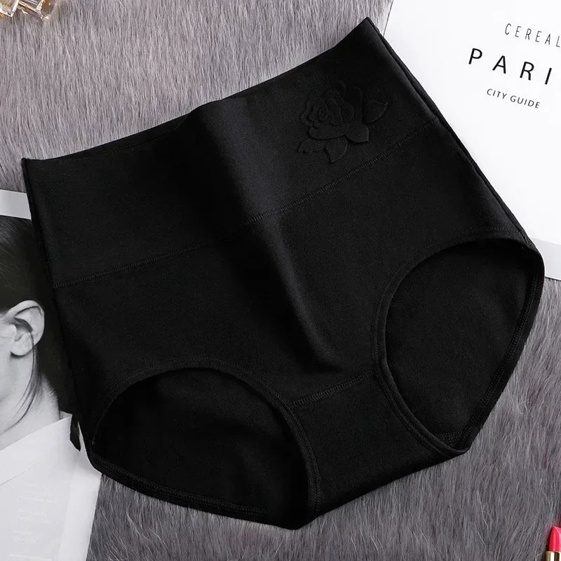 High-Waist Fitted Plus-Size Briefs