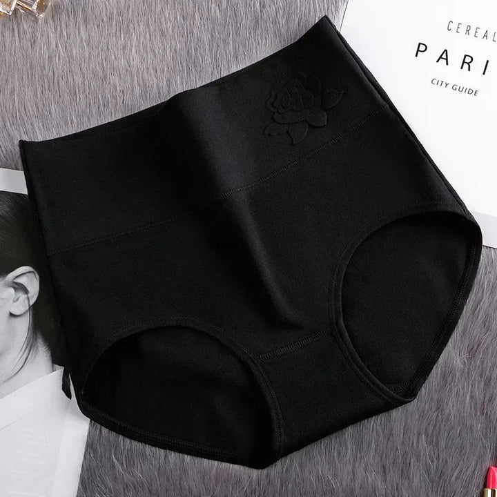 High-Waist Fitted Plus-Size Briefs