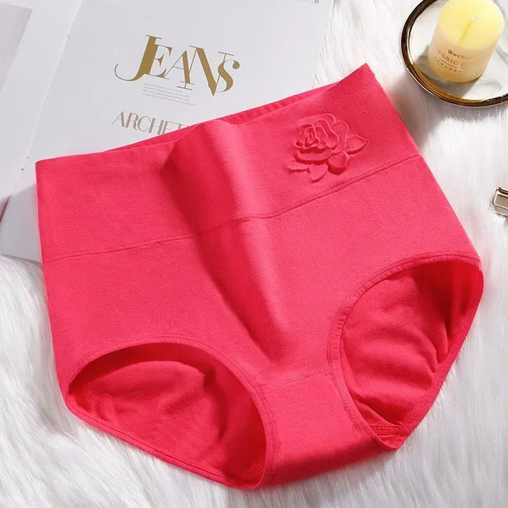 High-Waist Fitted Plus-Size Briefs