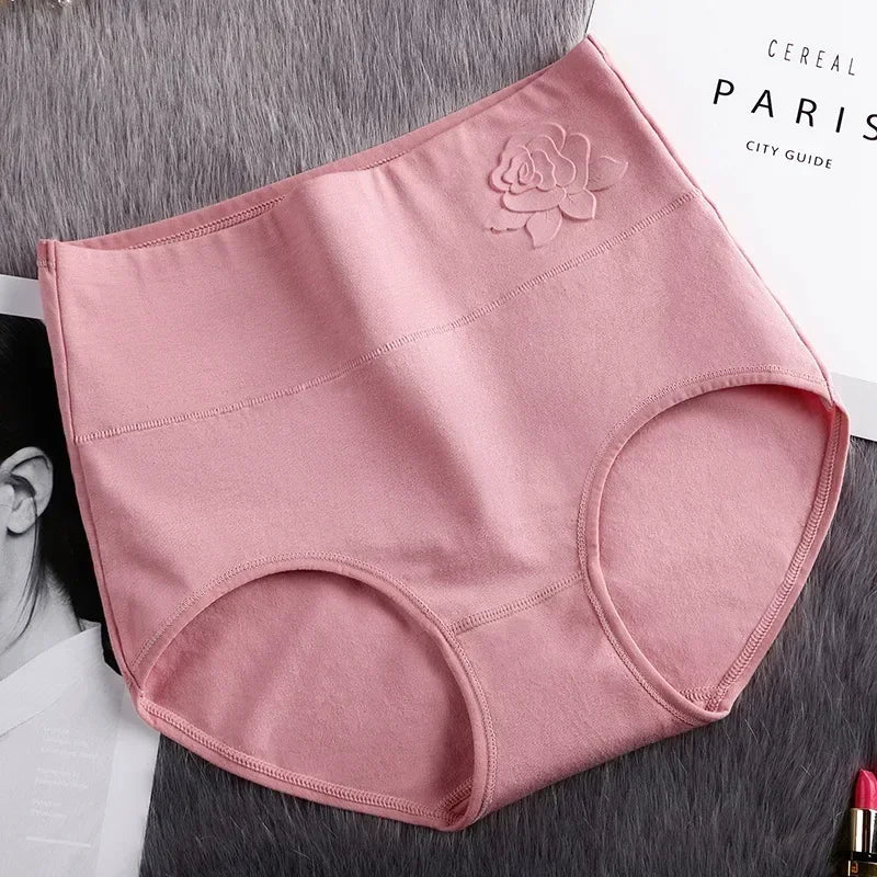 High-Waist Fitted Plus-Size Briefs