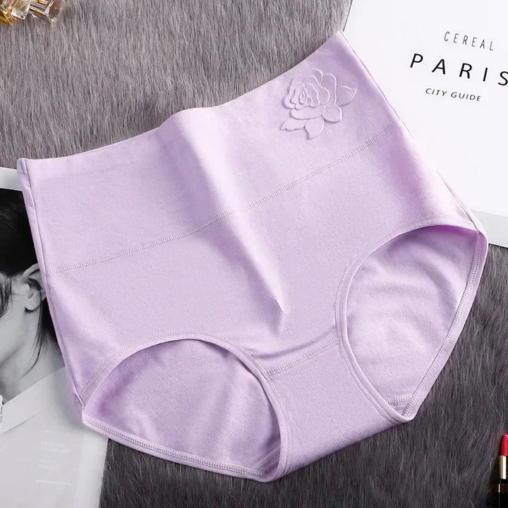 High-Waist Fitted Plus-Size Briefs