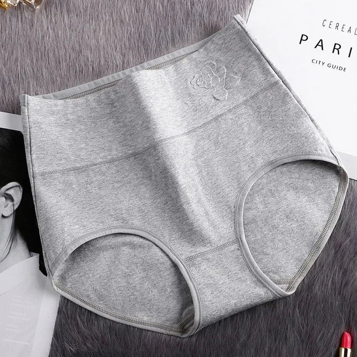 High-Waist Fitted Plus-Size Briefs