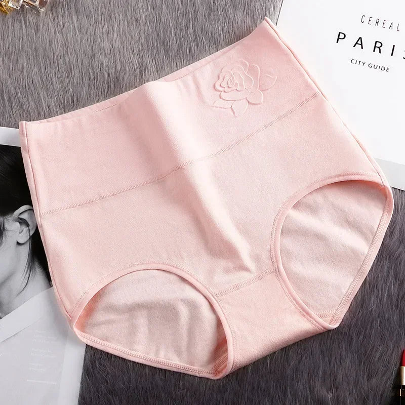 High-Waist Fitted Plus-Size Briefs