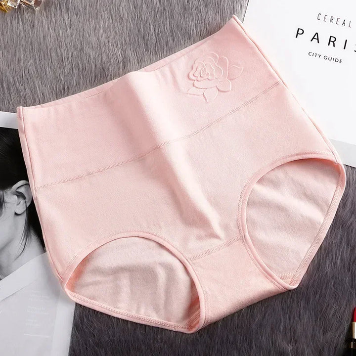 High-Waist Fitted Plus-Size Briefs