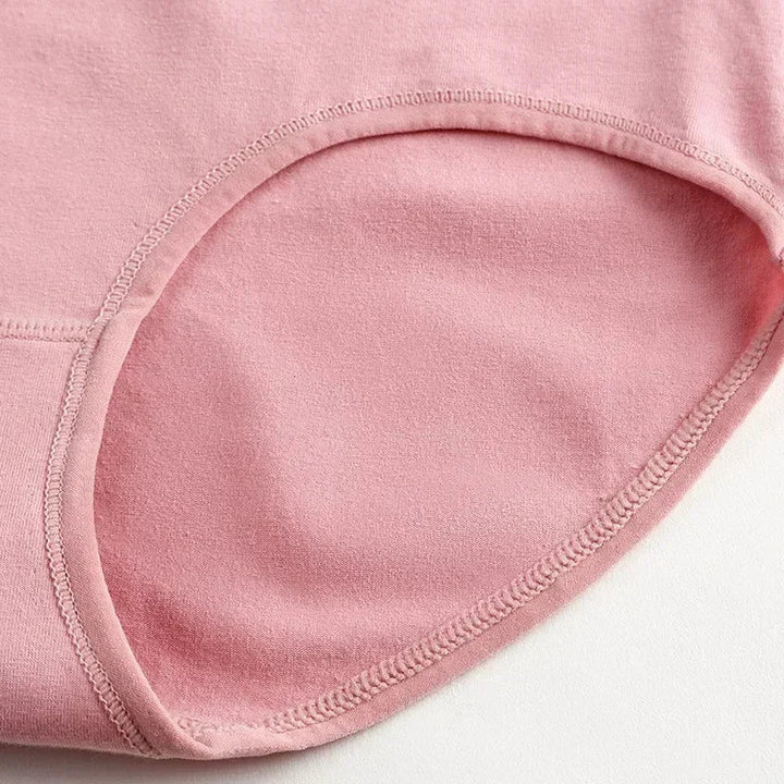 High-Waist Fitted Plus-Size Briefs
